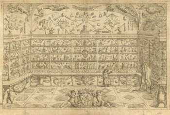 Visualizza l'immagine "R.M. m. 2-16"